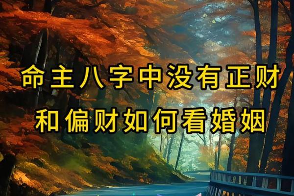 揭秘免费生辰八字对婚姻的深度影响