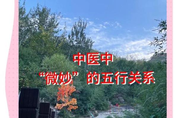 土壤滋养，金玉良言——五行智慧中的生活哲学