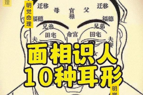 面相识人：揭秘命运与职业的神秘联系