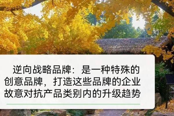 为护肤品公司起个名字，助力品牌从众多竞争中脱颖而出
