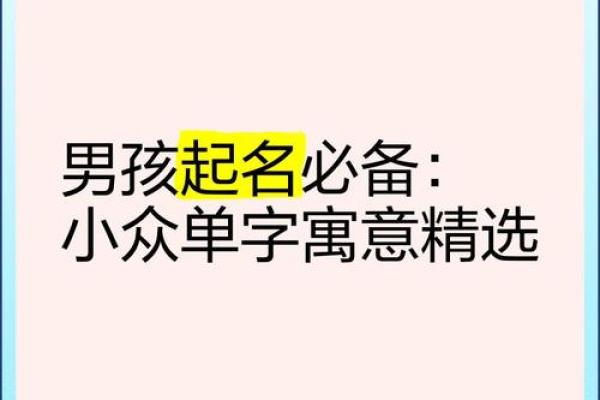 赋予男孩个性与力量的单字名字解析