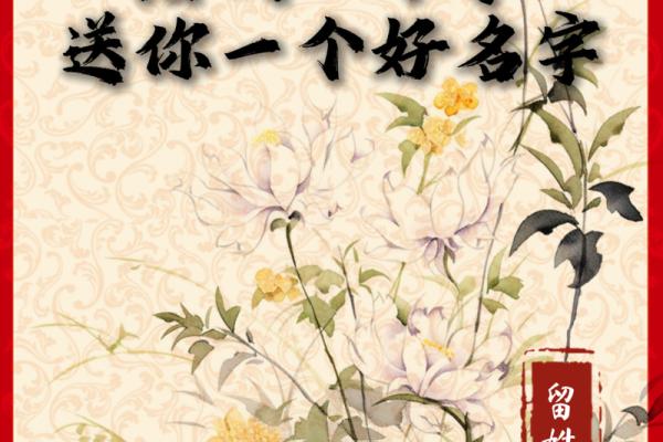 赋予男孩个性与力量的单字名字解析