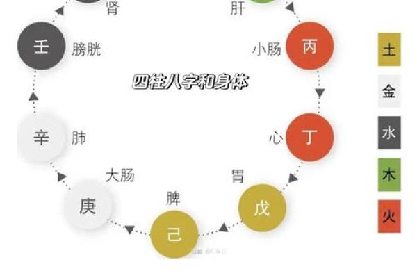 地支相合日地支，揭秘健康长寿秘诀