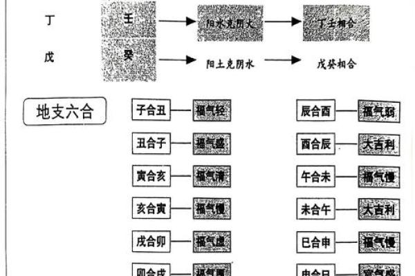 地支相合日地支，揭秘健康长寿秘诀