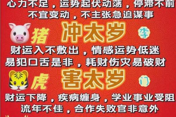 属蛇运势与事业财运的关系