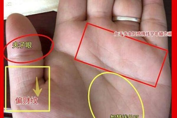 手相大师独家解读：范冰冰的运势与爱情走向