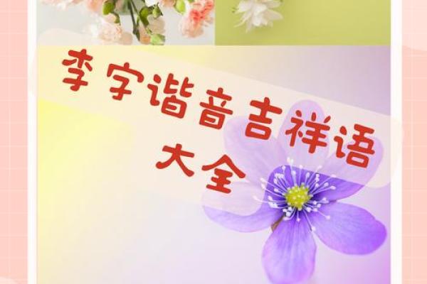 李子星：璀璨星辰，吉祥如意，好运连连之美名