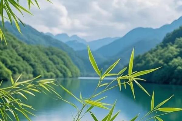 陈竹：竹报平安，竹韵悠长，好运连连，未来可期