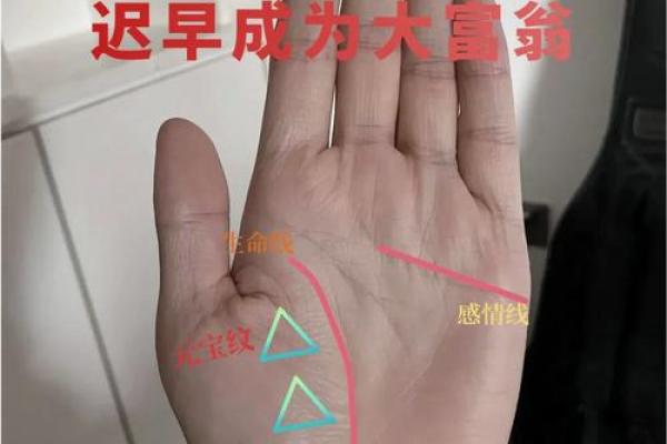 手相大揭秘：身大手小，财富滚滚来！