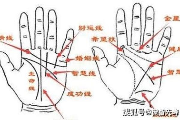 手相大揭秘：身大手小，财富滚滚来！
