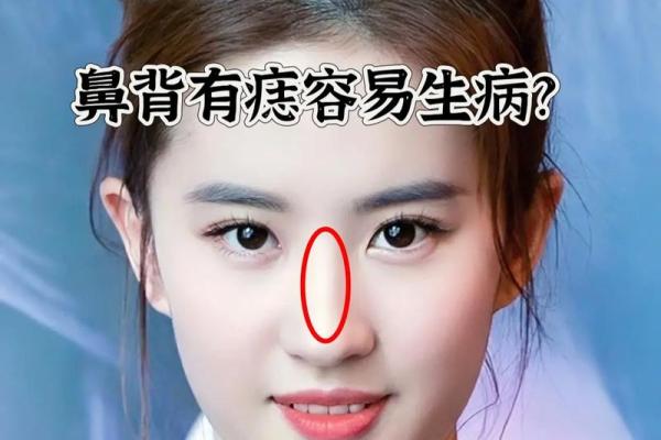 宽鼻面相魅力无边
