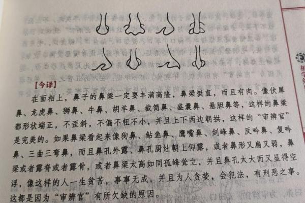 揭秘窄鼻子面相：财运亨通的秘密武器！