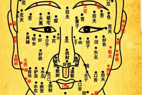 揭秘窄鼻子面相：财运亨通的秘密武器！