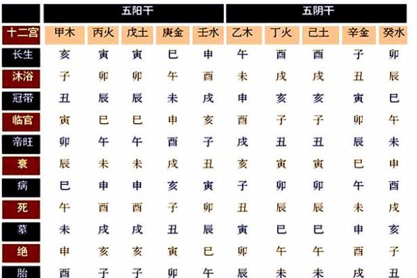 星辰运转：地支长生奥秘全解析