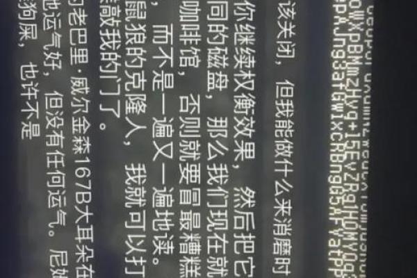 数字命理大师：数学家为你解码命运之谜