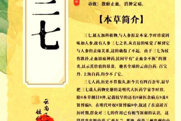 客家丧事三七：传统文化中的礼仪与精神象征