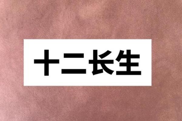 顺为居士鹿晗命理大揭秘，明星运势背后的秘密