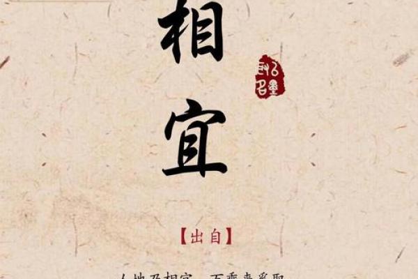 宝宝起名秘籍：创意与吉祥两相宜
