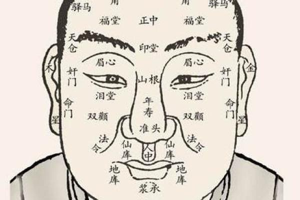 面相揭秘：解读命运之谜，五官间隐藏的运势密码