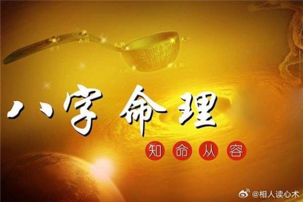 简单易懂的命理入门，让你成为人生规划大师！