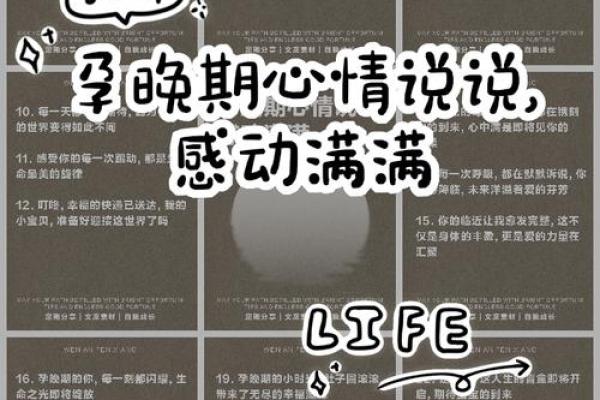 孕气满满，揭秘命理中的怀孕秘密！