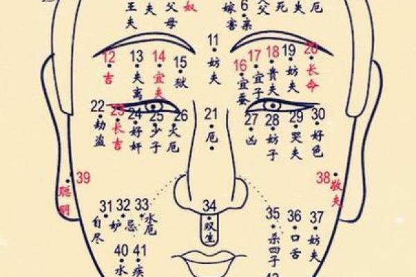 痣相解析：头部痣相如何影响你的命运走向？
