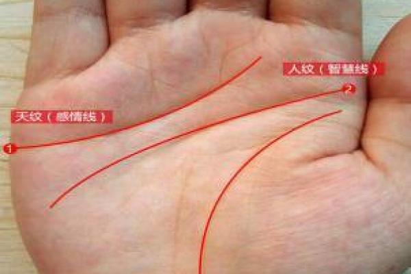 小三手相图解：如何一眼识破她的野心与手段！