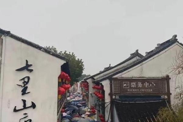 岳江南：江南水乡，岳氏风范，运势昌隆，未来可期