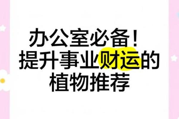 通化办公室风水攻略，让你事业蒸蒸日上，财运滚滚来！