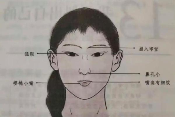 面相解析：脑骨小巧透露的智慧与魅力