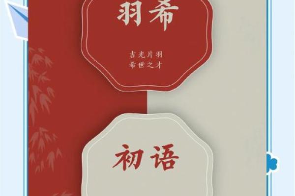 如何通过象字名字展现独特个性与气质