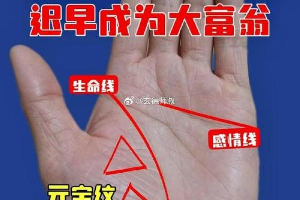 掌中奥秘：男士右手手相图解宝典