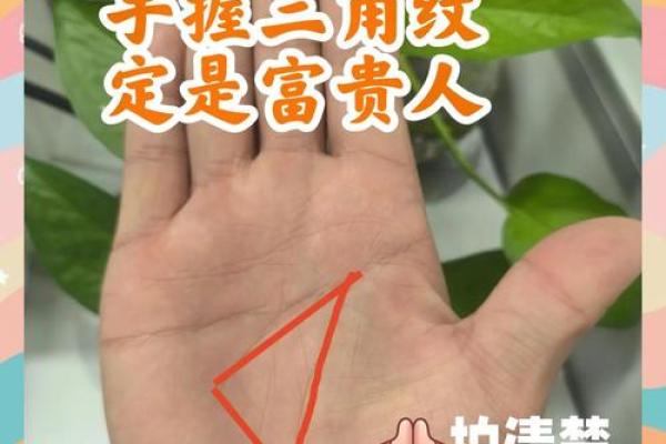 掌中奥秘：男士右手手相图解宝典