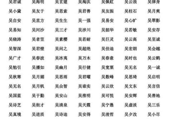 吴姓宝宝名字创意集锦