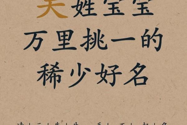 吴姓宝宝名字创意集锦