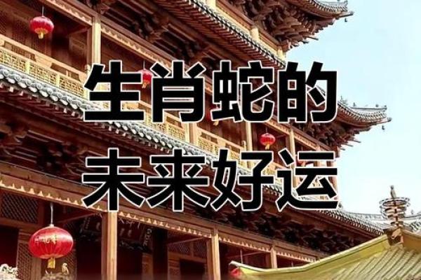 蛇属十一运势揭秘：财运亨通，事业腾飞