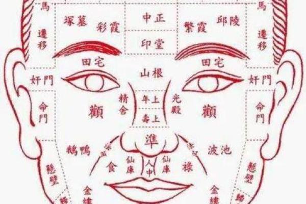 面相揭秘：五官之间的奥秘与人生运势