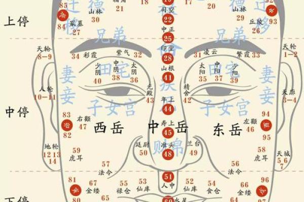 面相揭秘：五官之间的奥秘与人生运势