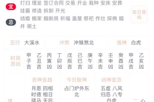 属龙运势详解：挑战与机遇并存