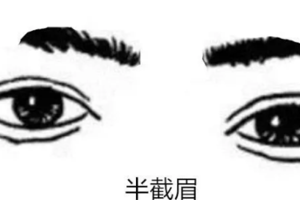 矮个子面相：揭秘矮人运势与性格之谜