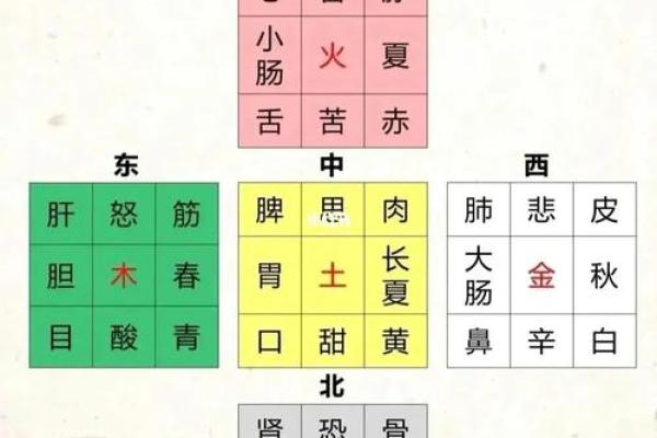 如何理解之字的五行属性
