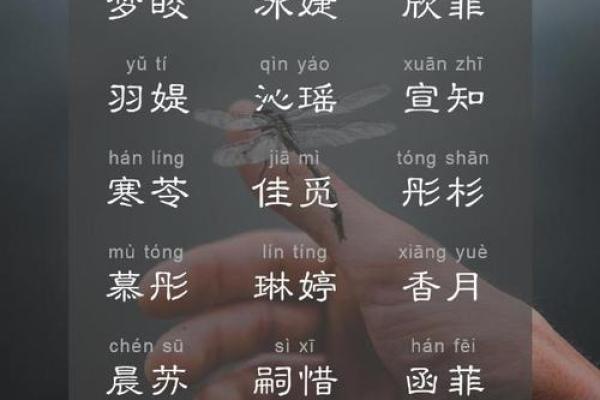 梦想启航：易宝宝女孩名字精选