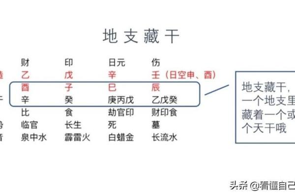 解锁八字奥秘：地支藏干教你断婚姻好坏