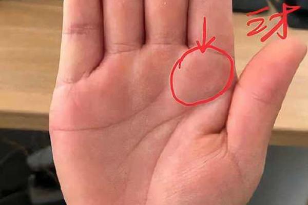 手相星辉：一掌之间，星纹解锁你的运势密码