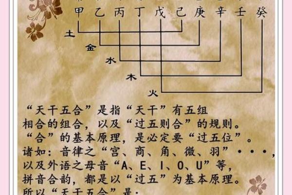 天干地支藏干能合？揭秘五行相生相克的奥秘