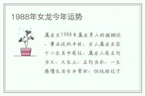 属龙人感情发展走向分析