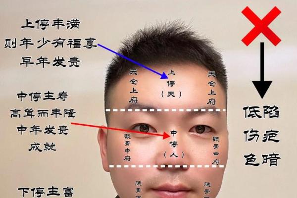 知己知彼：足痣相大全带你识人辨相