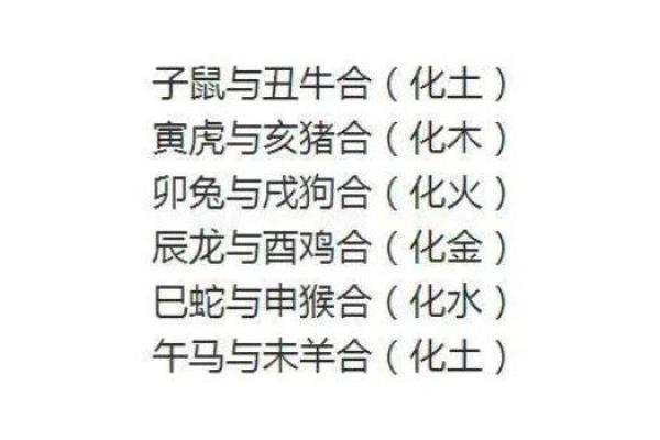 从五行角度解读肖的性格与命运