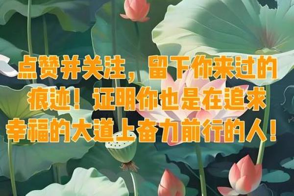 告别老套路，探索家居风水新境界