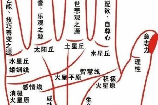 爱情线上的秘密轨迹：揭秘手相中的几段恋爱故事